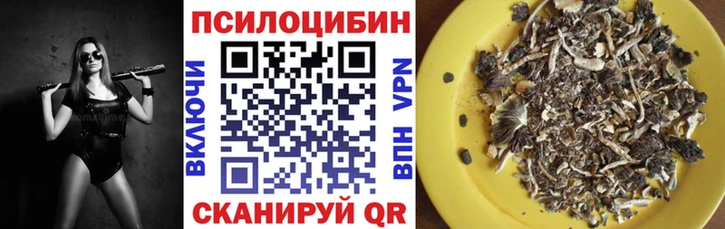 купить наркотики сайты  KRAKEN как войти  Псилоцибиновые грибы прущие грибы  это формула  Дедовск 