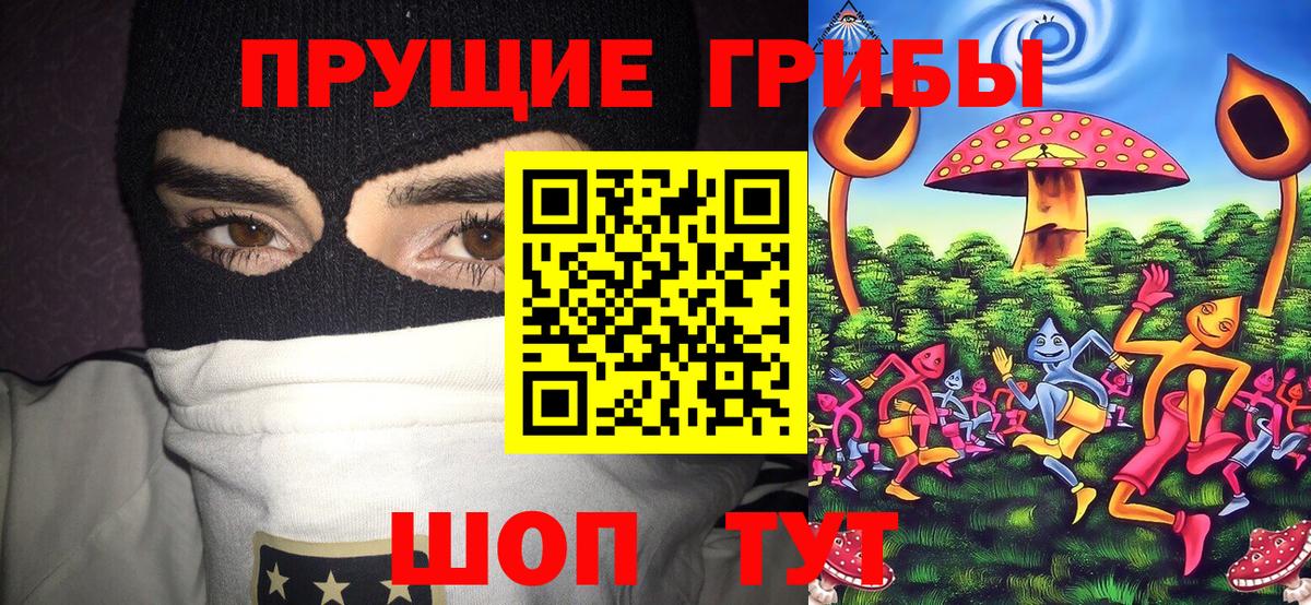Галлюциногенные грибы Cubensis Дедовск