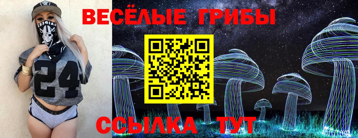 Псилоцибиновые грибы Psilocybe  Галлюциногенные грибы мицелий  купить наркотики сайты  Вход с VPN  Дедовск 