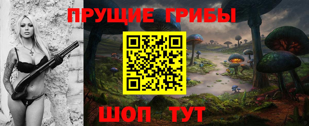 Псилоцибиновые грибы Psilocybine cubensis Дедовск